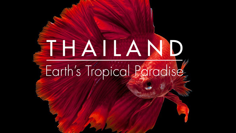 Thailand - Earth's Tropical Paradise